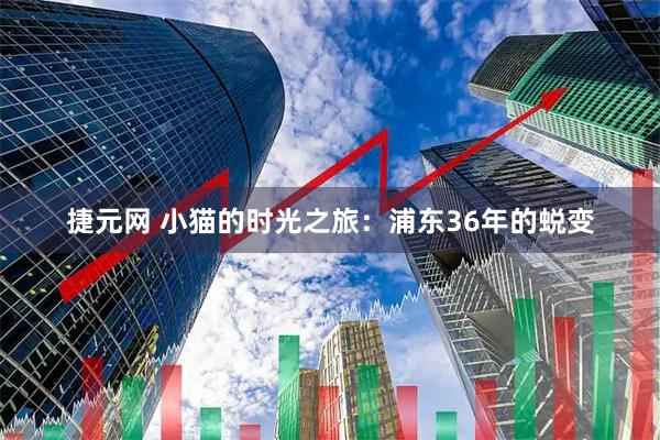 捷元网 小猫的时光之旅：浦东36年的蜕变