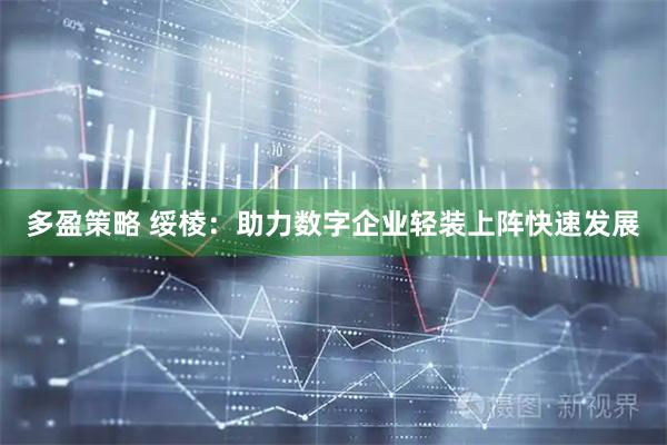 多盈策略 绥棱：助力数字企业轻装上阵快速发展