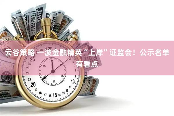 云谷策略 一波金融精英“上岸”证监会！公示名单有看点