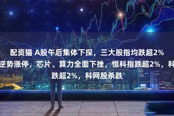 配资猫 A股午后集体下探，三大股指均跌超2%，京东方逆势涨停，芯片、算力全面下挫，恒科指跌超2%，科网股杀跌