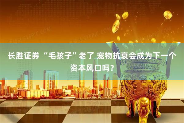 长胜证券 “毛孩子”老了 宠物抗衰会成为下一个资本风口吗?