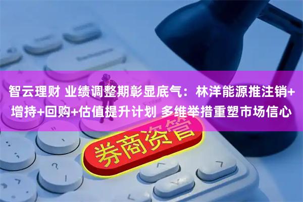 智云理财 业绩调整期彰显底气：林洋能源推注销+增持+回购+估值提升计划 多维举措重塑市场信心