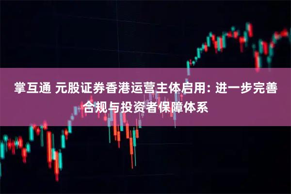 掌互通 元股证券香港运营主体启用: 进一步完善合规与投资者保障体系