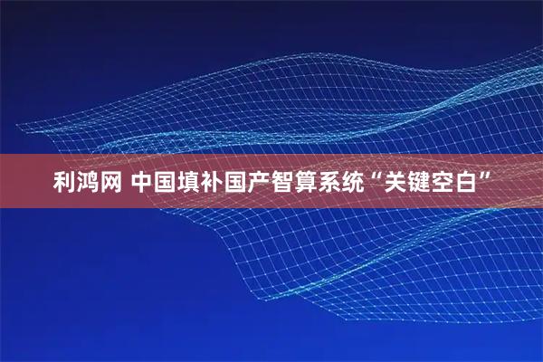 利鸿网 中国填补国产智算系统“关键空白”
