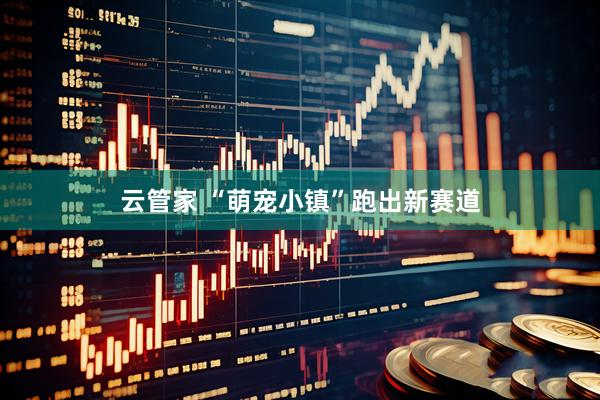 云管家 “萌宠小镇”跑出新赛道
