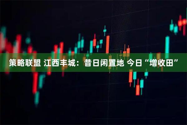 策略联盟 江西丰城：昔日闲置地 今日“增收田”