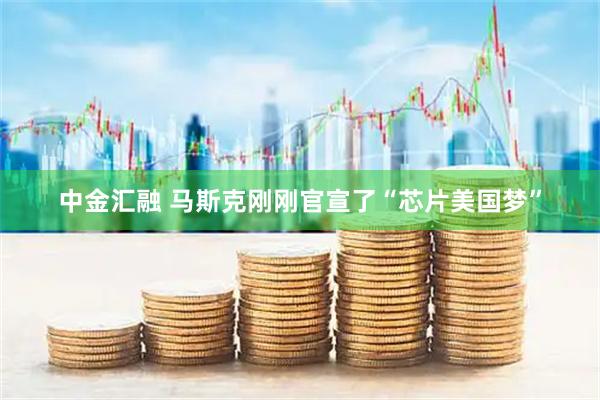 中金汇融 马斯克刚刚官宣了“芯片美国梦”