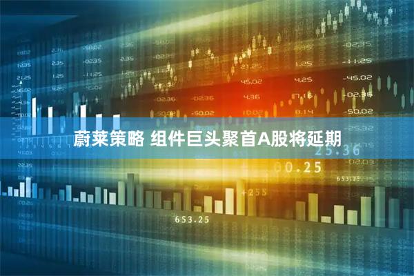 蔚莱策略 组件巨头聚首A股将延期