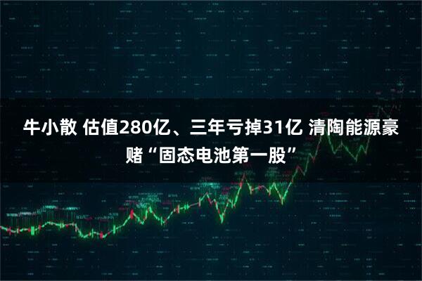 牛小散 估值280亿、三年亏掉31亿 清陶能源豪赌“固态电池第一股”
