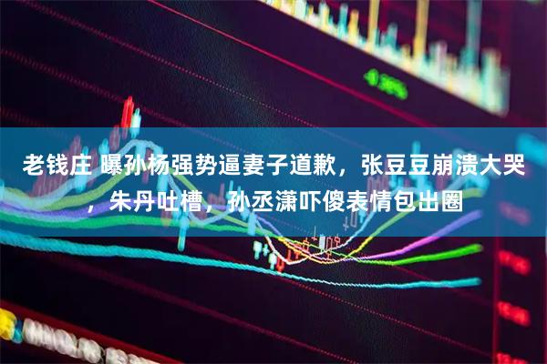 老钱庄 曝孙杨强势逼妻子道歉，张豆豆崩溃大哭，朱丹吐槽，孙丞潇吓傻表情包出圈