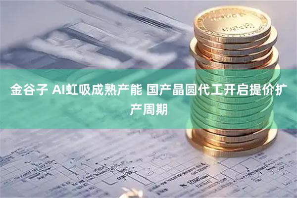 金谷子 AI虹吸成熟产能 国产晶圆代工开启提价扩产周期