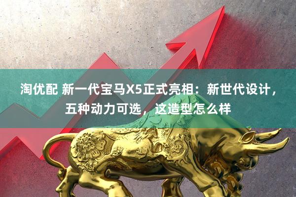 淘优配 新一代宝马X5正式亮相：新世代设计，五种动力可选，这造型怎么样